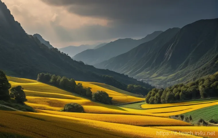 교사 해외 자격증 취득 가이드 관련 이미지 1